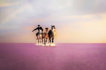 Camel riding in the desert at sunset time. Travel concept.の写真素材