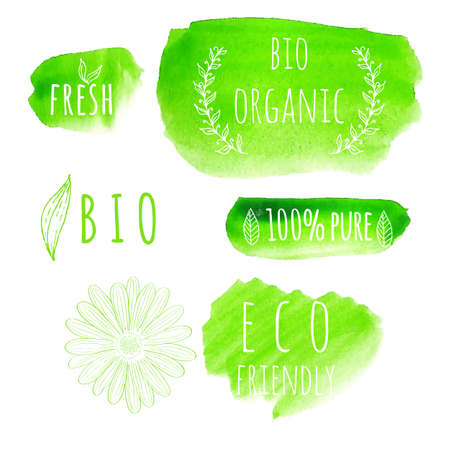 Set of watercolor organic food labels. Eco product badges and elements. Vector illustration for your design.のイラスト素材