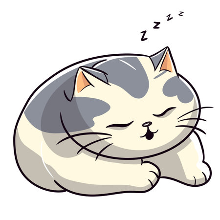 A cute chubby cat first collection for the cat lovers and i think chubby cats are everything in our life. Hope you are a cat person and love them.の写真素材