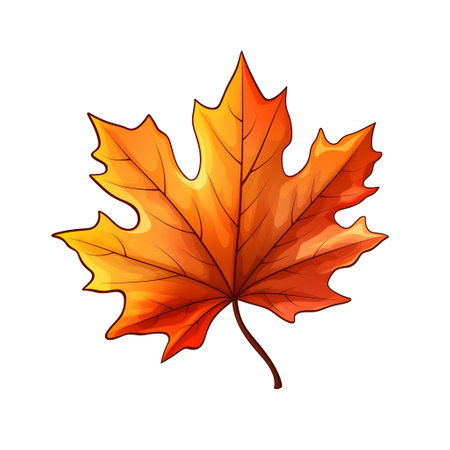 Autumn maple leaf isolated on white background. Vector illustration in cartoon style.の素材