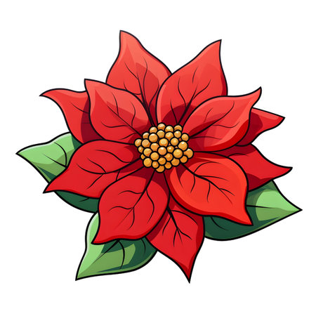 Christmas flower Poinsettia, illustrationの素材
