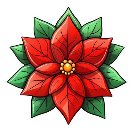Christmas flower Poinsettia, illustrationの素材