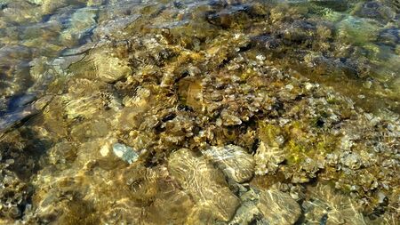 Stones at the bottom of the sea with clear waterの写真素材