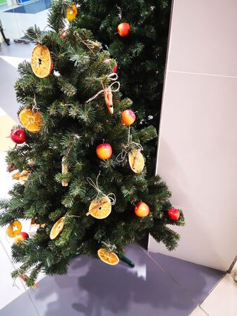 Christmas tree decorated with dried oranges, cinnamon, cones, gingerbread and apples. New Year's celebration.の写真素材