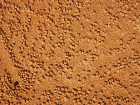Golden sand with minks of small crabs that scattered around the round sand while digging their house. Abstract background.の写真素材