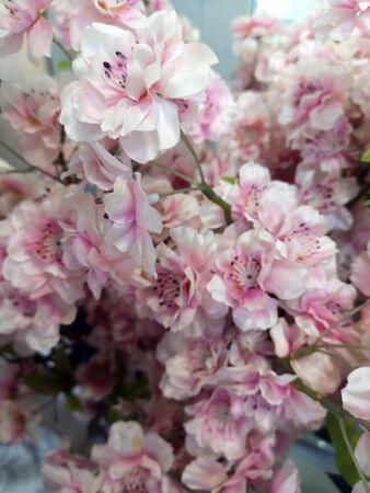 Pink artificial flowers with pink petals close-upの写真素材