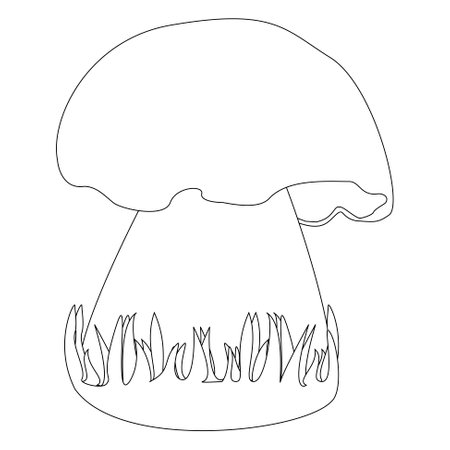 Childrens coloring books, Mushroom in grass, fallのイラスト素材