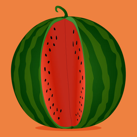 A vibrant vector illustration of a watermelon with a slice cut out, showing its juicy red flesh and seeds. Perfect for summer-themed designs.のイラスト素材