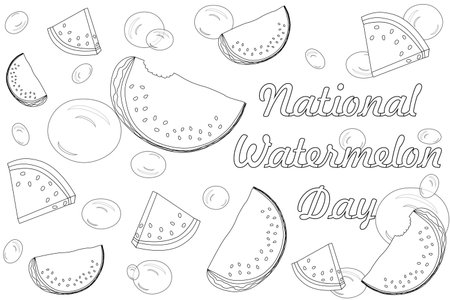 Celebrate National Watermelon Day with this fun and detailed coloring page featuring watermelon slices and festive bubbles. Perfect for all ages.のイラスト素材