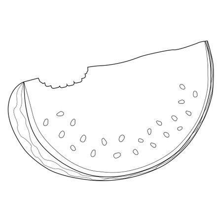 An outline of a watermelon slice with bite marks coloring page for summer fun. Perfect for children and adults to enjoy a healthy and creative activityのイラスト素材
