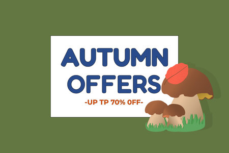 Colorful autumn sale banner featuring mushrooms and a leaf. Perfect for seasonal promotions, advertisements, and marketing campaigns.のイラスト素材