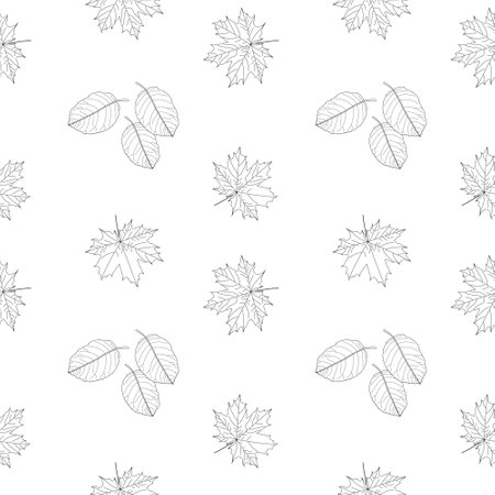 Delight in this seamless pattern of maple and other fall leaves. Perfect for coloring enthusiasts and creative projects.のイラスト素材