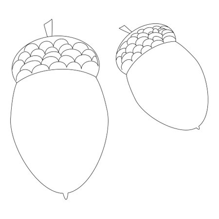 Simple and engaging acorn coloring page for kids. Perfect for fall-themed activities, educational projects, and creative coloring sessions.のイラスト素材