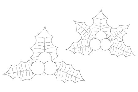Simple black and white outline of holly leaves and berries, ideal for Christmas-themed coloring activities. Perfect for kids and adults.のイラスト素材