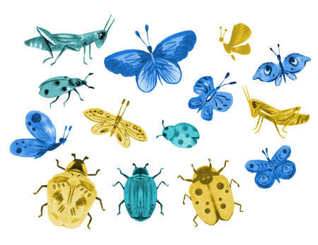 Watercolor set of insects, butterflies, grasshoppers, beetles. Hand draw full color illustrations for patterns, cards, congratulations, design. High quality photoの写真素材