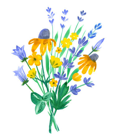 Watercolor bouquet of meadow flowers in yellow and blue tones. Hand-drawn illustration. High quality photoの写真素材