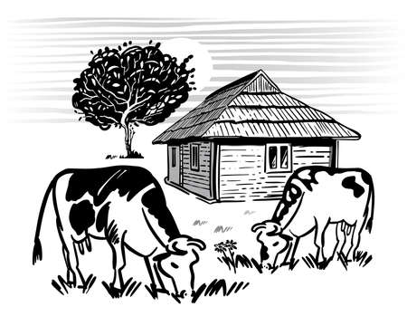 Cows graze, eat grass in meadow near the village. Freehand drawing in black and white outline. Vector illustration of house and apple tree in countryside. Vector illustrationのイラスト素材