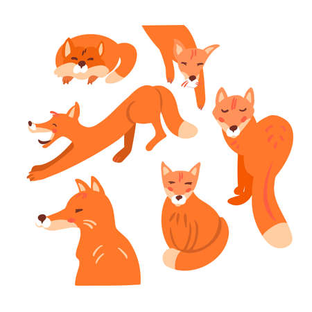 Set cute foxes. Forest animal.のイラスト素材