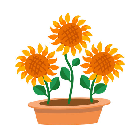 Sunflowers in flower pot. Isolated vector illustration. . Vector illustrationのイラスト素材
