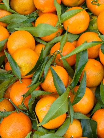 Clementine with leaves in boxes at market in Europe, Italy. Organic local food and health. Seasonal vegetables. High quality photoの写真素材
