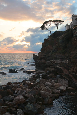 Nature and sunset on sea. Tree, clouds and orange sun. Seascape and horizon line. Dramatic scene. High quality photoの写真素材