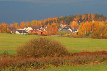 Autumn and yellow, orange deciduous trees outside in village. Landscape, background for design. Nature and lifestyle. . High quality photoの写真素材