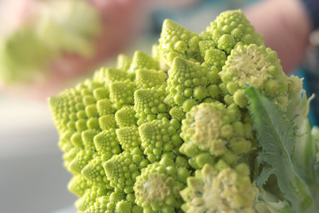 Romanesco broccoli cabbage. Healthy eating. Food and green vegetables. High quality photoの写真素材