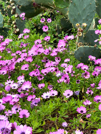 Spring flowers with green leaves on streets in city. Seasons and nature. Background for design. High...