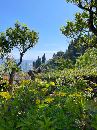 Flowers and trees in spring on sunny day on mountain in Portofino, La Spezia. Nature of Italy and Mediterranean Sea. Background for design. High quality photoの写真素材
