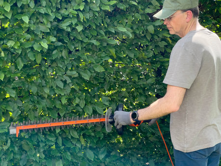 Man trimming bushes with electric hedge trimmer, hedge saw. Gardening and tidying up. Nature and...
