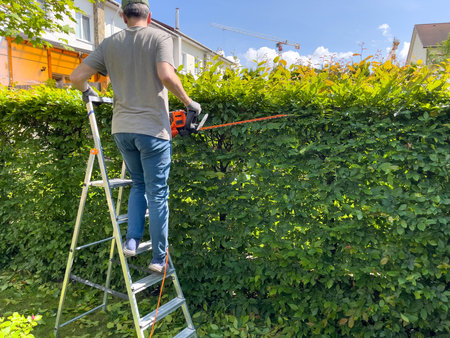 Man trimming bushes with electric hedge trimmer, hedge saw. Gardening and tidying up. Nature and garden maintenance. High quality photoの写真素材