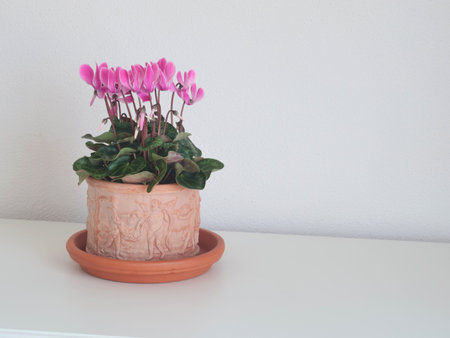 Ceramic terracotta new pot. Gardening and flowers. Home hobby. Free space for design. High quality photoの写真素材