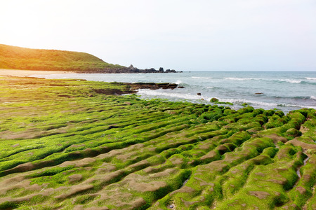 Green reef of Laomei coastの写真素材