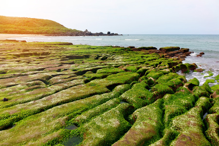 Green reef of Laomei coast