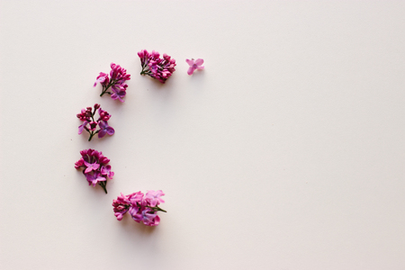 Beautiful flower frame on white background. Lilac flowers. Flat lay.の写真素材