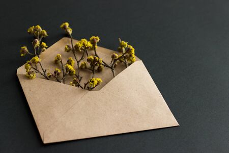 Kraft envelope with yellow flowers on black background. Flat lay. There's room for text or design.の写真素材