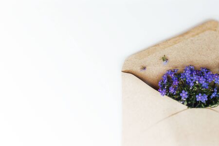 Little cute blue forget-me-nots in a Kraft paper envelope, selective focus. Beautiful bouquet of blue flowers bruners on a light background. Flat lay.の写真素材