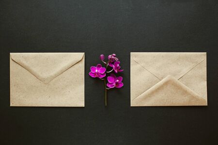 Two envelopes made of environmentally friendly brown material. Simple brown paper envelopes for letters. Purple Orchid flowers for decoration. The layout for the design.の写真素材