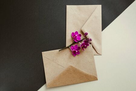 Two envelopes made of environmentally friendly brown material. Simple brown paper envelopes for...