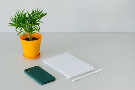 Business background. A flower in an orange pot, a notebook, a pen and a smartphone in a green case. Notebook, pen and smartphone screen on the office desk table with supplies.の写真素材