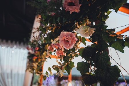 Decoration wedding arch with white and pink flowers on a green natural background. Decorative garland of light bulbs. Wedding decor, light bulbs on a wooden frame. Selective focus.の写真素材