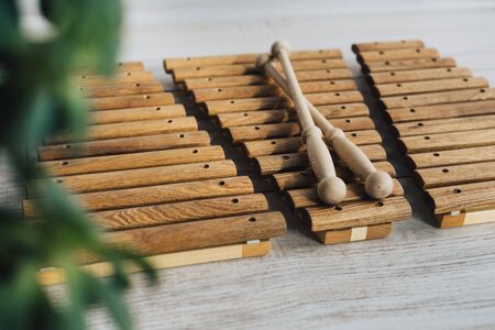 Xylophone is made of natural wood. Wooden sticks for musical instruments. Musical instrument made of natural wood without the use of plastic.の写真素材