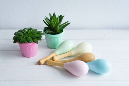 Wooden maracas and pots with succulents in colored pots. Musical instruments. A rattle made of natural wood.の写真素材