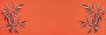 Vegetable banner. Elderflower leaves on a red background. Branches of medicinal Elderberry on a red background. Dark leaves on a bright background. Natural background. Concept art.の写真素材