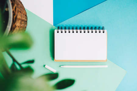 A house plant, a notebook and a pen lie on an abstract background. Abstract background of blue, white and green. A clean page of a notebook for text or design.の写真素材