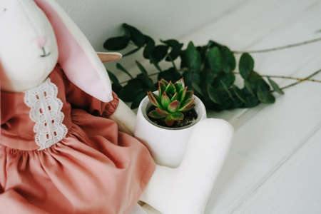 A plush hare in a pink dress sits on a wooden surface. Succulent in a white pot. The hare is plush with wings. A toy for a girl. Eucalyptus branches.の写真素材