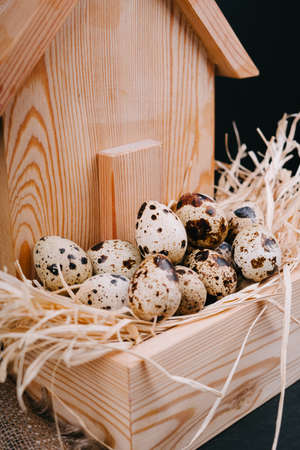 Happy Easter day. Easter decor. Quail eggs in a wooden house. Easter composition on a black background. Hay and natural wood saws. Vertical image.の写真素材