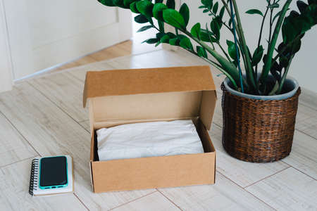 The craft box was delivered from an online store. The smartphone, box and zamiokulkas are on the floor. Make purchases without leaving your home. Contactless delivery of goods.の写真素材