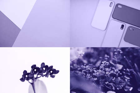 Photo collage inspired by Very Peri - color of the year 2022. Photo toned colored in trendy color of year 2022. Color 17-3938.の写真素材