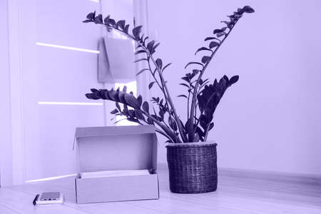 The craft box was delivered from an online store. The smartphone, box and zamiokulkas are on the floor. Photo toned colored in trendy color of year 2022. Color 17-3938. Contactless delivery of goods.の写真素材